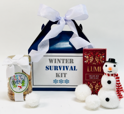 Sensational Winter Day Survival Kit/Care Package ($25)